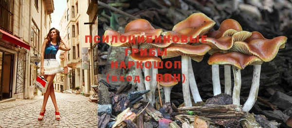 соль ск Горняк
