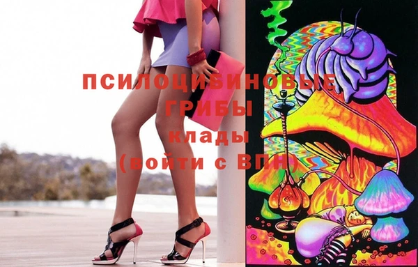 крисы Горнозаводск