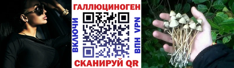 мега маркетплейс  Кулебаки  Псилоцибиновые грибы ЛСД 